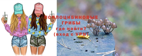 а пвп мука Белокуриха
