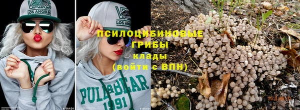 таблы Богородицк