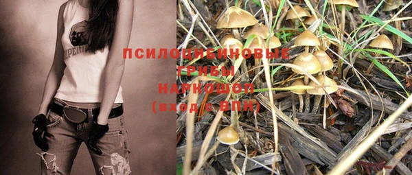эйфоретик Белоозёрский