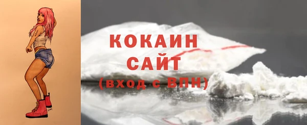 таблы Богородицк