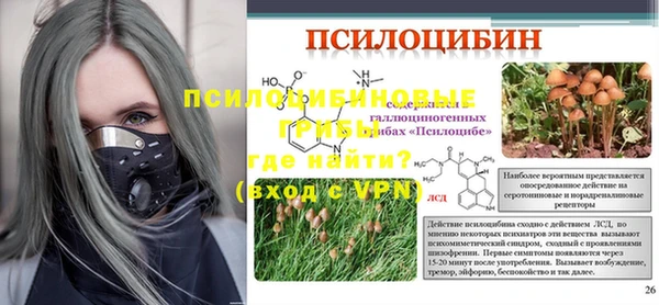 гидропоника Богданович