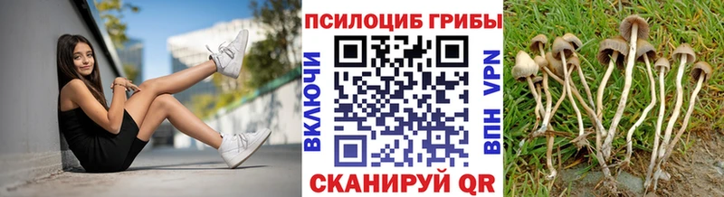 магазин наркотиков Миасс Галлюциногенные грибы Psilocybine cubensis